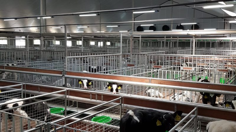 在跨境电商领域，许多卖家对于代运营的效果评估存在一些误区。常见的误区包括：